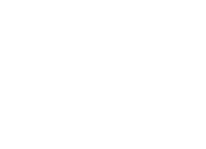 iS3